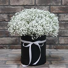 Цветочная композиция из Гипсофила в шляпной коробке в городе Камень-на-Оби
